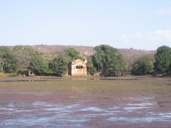 The Maharaja's retreat